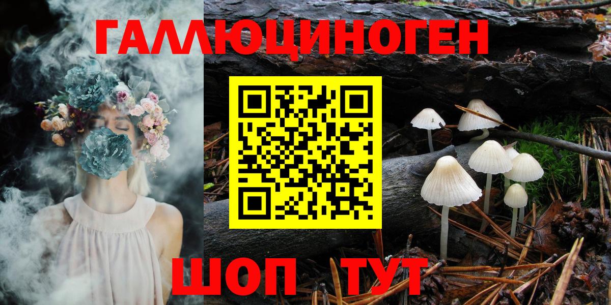 Реж  Псилоцибиновые грибы мухоморы  Вход с VPN 