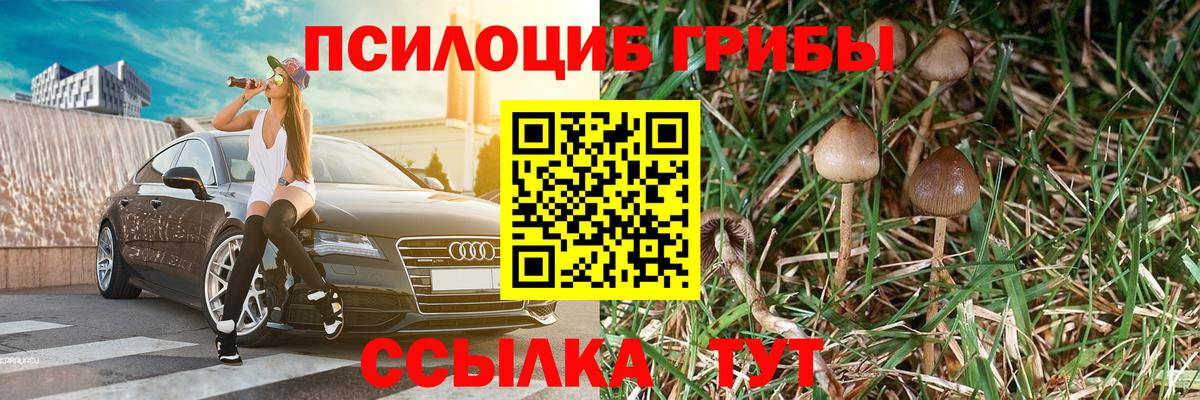 Псилоцибиновые грибы Psilocybe Реж